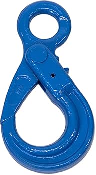 51i8Ryh+jxL._AC_UF350,